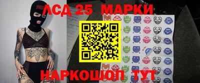 прущие грибы Ливны