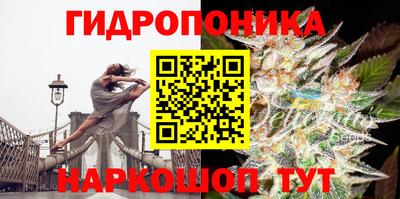 прущие грибы Ливны