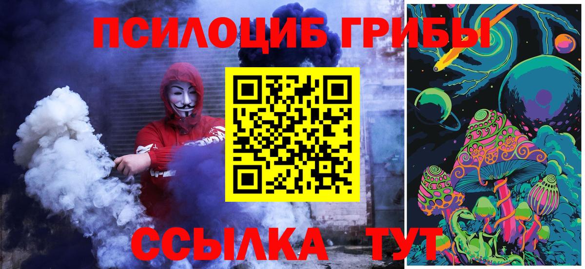 Чапаевск  Псилоцибиновые грибы мицелий  Вход с VPN  Галлюциногенные грибы Psilocybine cubensis 